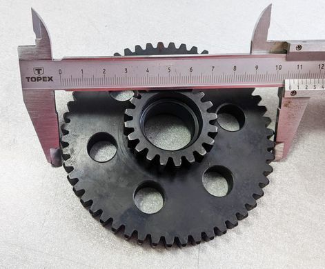 BS806.20 Шестерня шлагбаума GANT 306/806