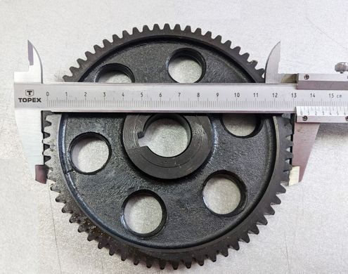 BS806.20 Шестерня шлагбаума GANT 306/806